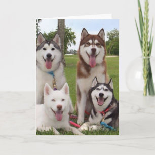 CARTE **40E** HUMOUR D'ANNIVERSAIRE DU GROUPE SIBERIAN H