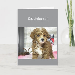 Carte **40e** SOUHAITS D'ANNIVERSAIRE D'UN CUTE POIVRE