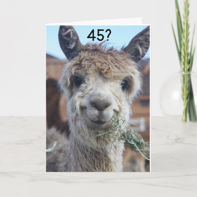 CARTE **45** JE N'ARRIVE PAS À CROIRE QU'IL DIT LAMA (Devant)