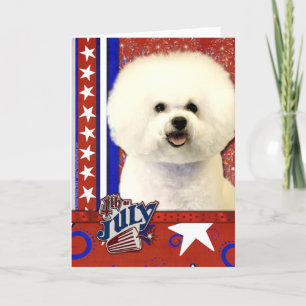 Carte 4 juillet Firecracker - Bichon Frise