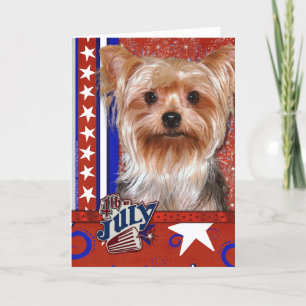 Carte 4 juillet Firecracker - Yorkshire Terrier
