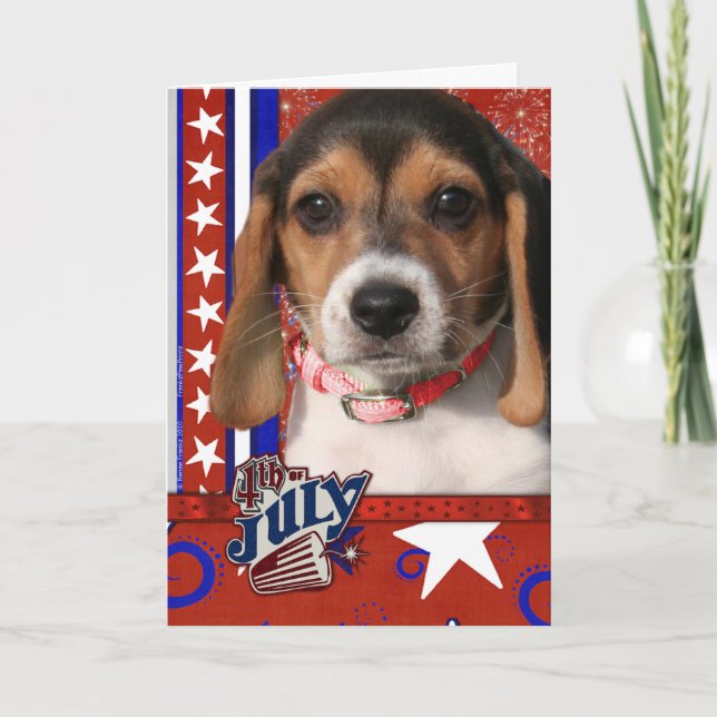Carte 4 juillet pétard - chiot de beagle (Devant)
