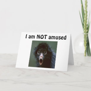 CARTE **50 ?** VOUS NE REGARDEZ PAS UNE JOURNÉE SUR 49 ?