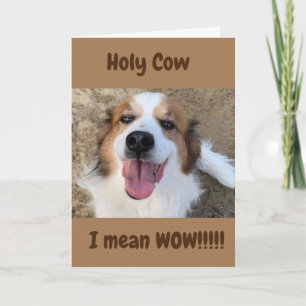 Carte "50e ANNIVERSAIRE" CHIEN DIT WOW! ! ! ! !