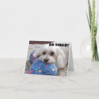 *50e anniversaire* HA HA HA HA HA (HUMOUR CHIEN FU