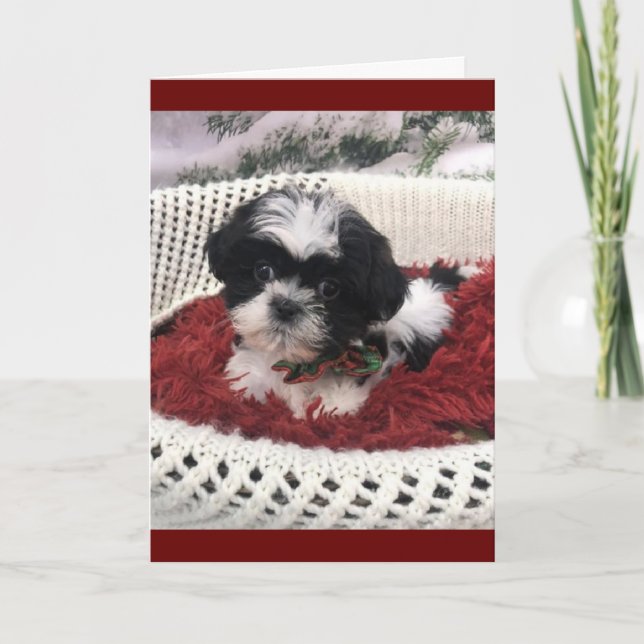 Carte "50e ANNIVERSAIRE" HUMOUR DE CUTEST PUPPY JAMAIS (Devant)