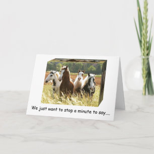 Carte **50e ANNIVERSAIRE** LES CHEVAUX DE TEMPS DE PLAIS
