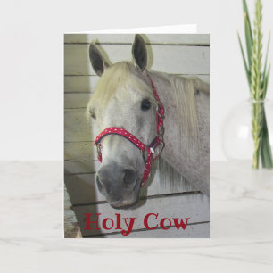 Carte ***50e*** SAINT VACHE JEUNE ANNIVERSAIRE FILLY