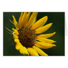 Carte 5X7 de tournesol d'août