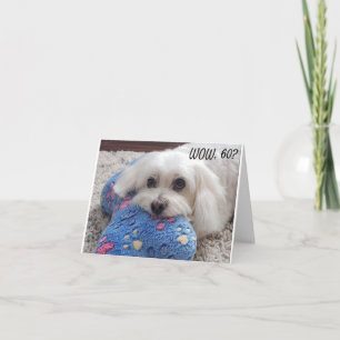 Carte *60e anniversaire* HA HA HA (HUMOUR CHIEN FUNNY) C