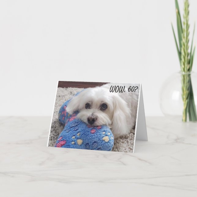 Carte *60e anniversaire* HA HA HA (HUMOUR CHIEN FUNNY) C (Devant)