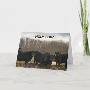 Carte **60e** ANNIVERSAIRE "VACHE SAINTE"