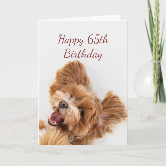 Carte 65e Anniversaire Amusement Commencer mignon Chien  (Devant)