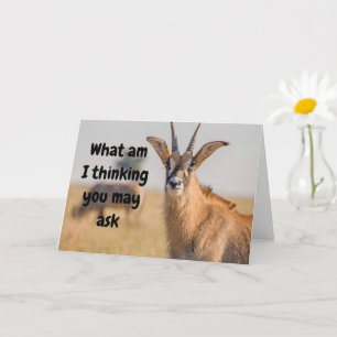 Carte "65e Birthday Hummor Via Antelope Card