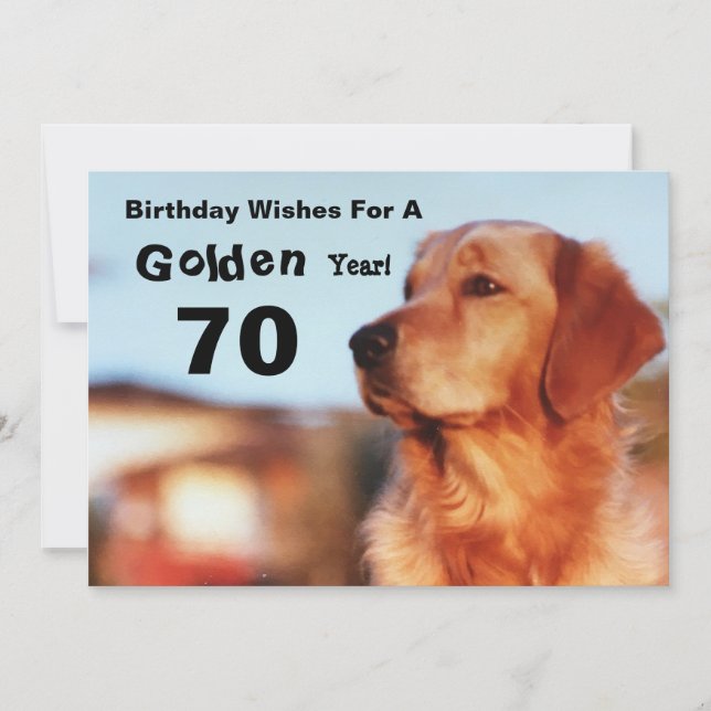 Carte 70e année d'or Anniversaire Golden Retriever Card (Devant)