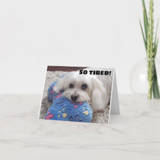 Carte *70e anniversaire* HA HA HA HA HA (HUMOUR CHIEN FU
