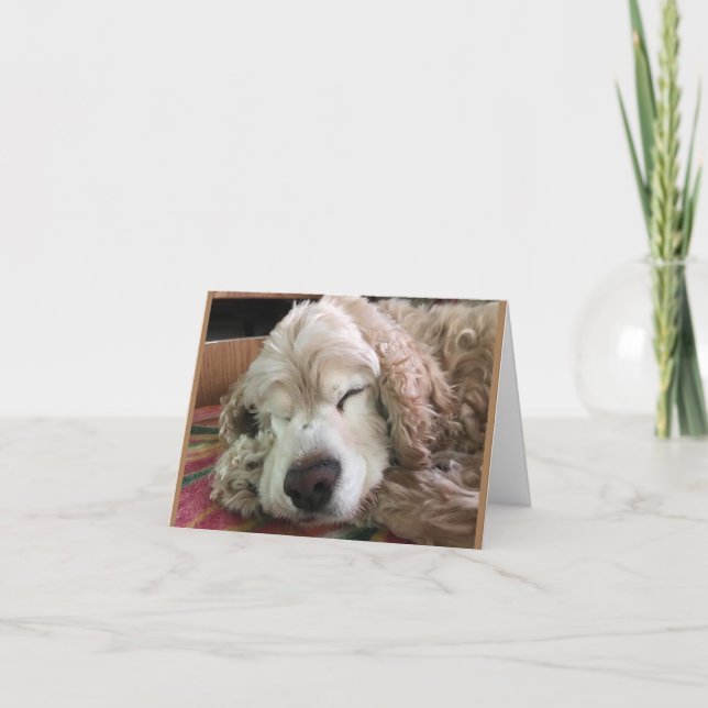 Carte *70e anniversaire* HA HA HA HA HA (HUMOUR CHIEN FU (Devant)