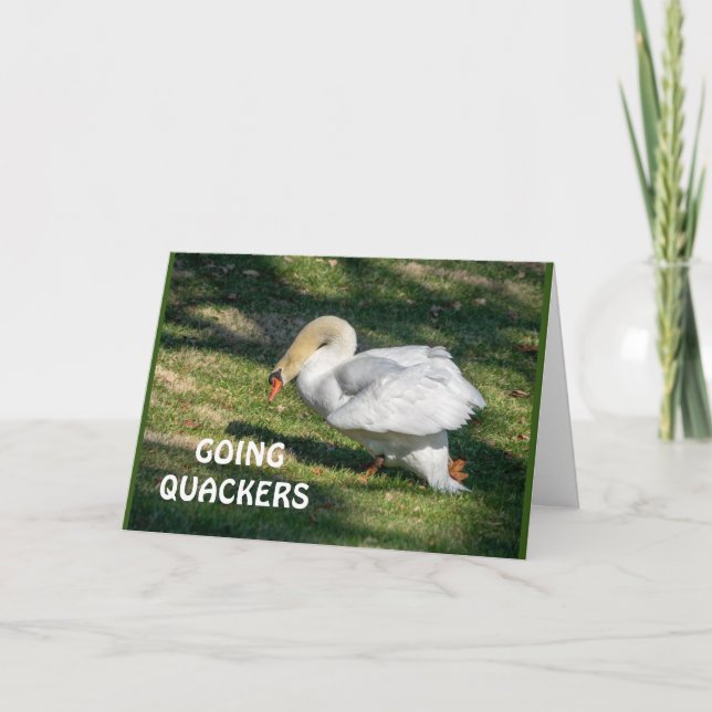Carte *70e* LES QUACKERS D'ANNIVERSAIRE-NE PEUVENT PAS Ê (Devant)