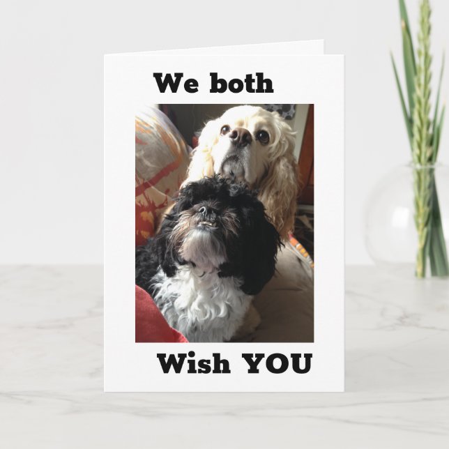 Carte "70ème" SOUHAITS D'ANNIVERSAIRE DES DEUX CHIENS AM (Devant)