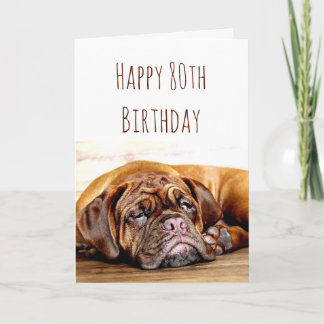 Carte 80e anniversaire Chien triste rester Humour provoc