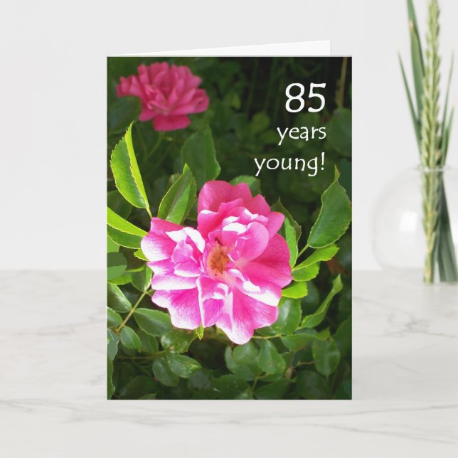 Carte 85e anniversaire - Roses roses roses (Devant)