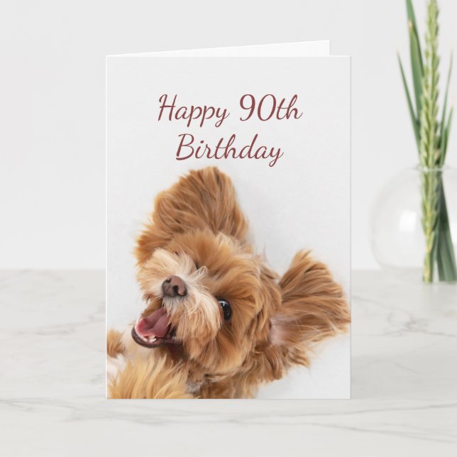 Carte 90e Anniversaire Amusant Commencer mignon Chien Ch (Devant)