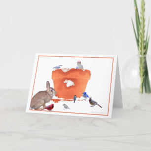 Carte #9 Lapin- oiseaux dans un pot de jardin : Citation