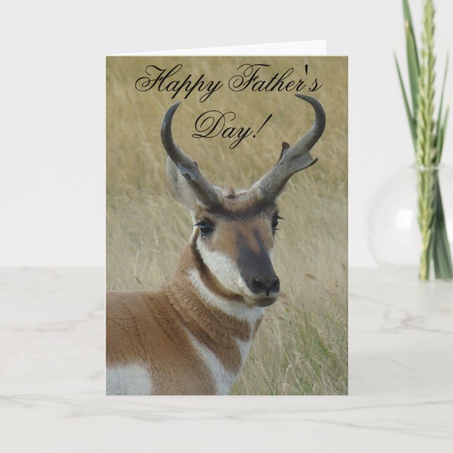 Carte A21 Pronghorn Antelope Buck (Devant)