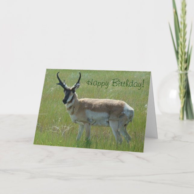 Carte A36 Pronghorn Antelope Big Buck (Devant)