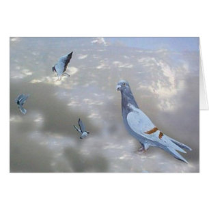 Carte à autodirecteur d'oiseaux de Pidgeons