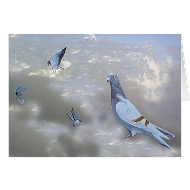 Carte à autodirecteur d'oiseaux de Pidgeons (Devant horizontal)