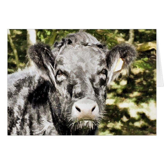 CARTE À BULLE (Devant horizontal)