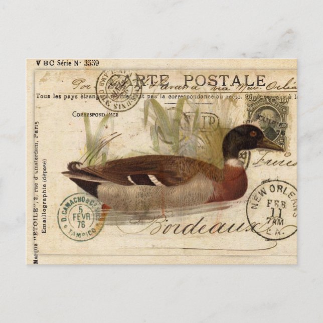 Carte à canard vintage (Devant)