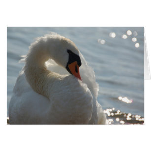 Carte à cygne blanche
