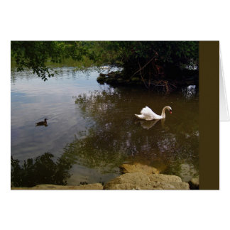 Carte à cygne en argent