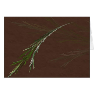 Carte à feuillage persistant de branche