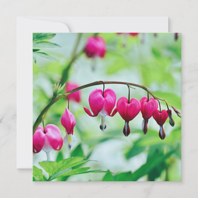Carte à fleurs à coeur rose (Devant)