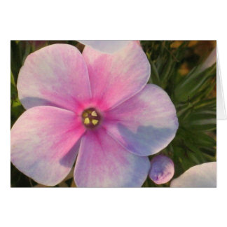 Carte à fleurs à quatre heures