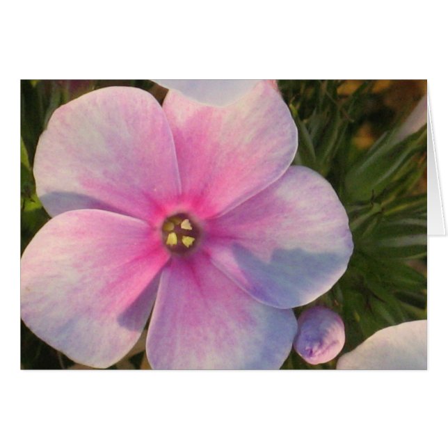 Carte à fleurs à quatre heures (Devant horizontal)