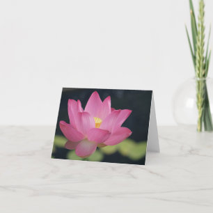 Carte à fleurs de lotus rose