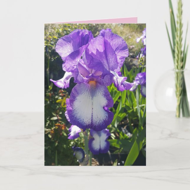 Carte à fleurs florales Iris à fond bleu et blanc (Devant)