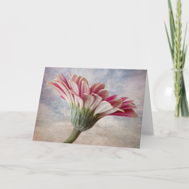 Carte à fleurs Gerbera (Devant)