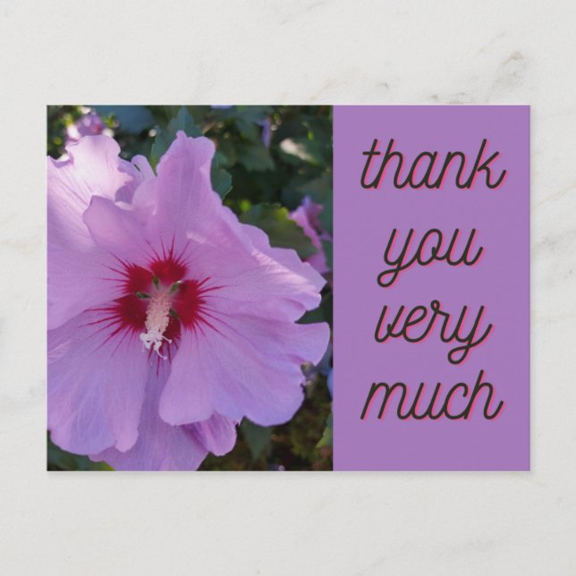 Carte à fleurs Hibiscus rose Merci (Devant)
