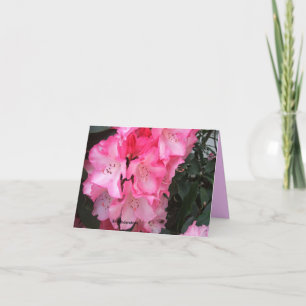 Carte A Gala Rhododendron