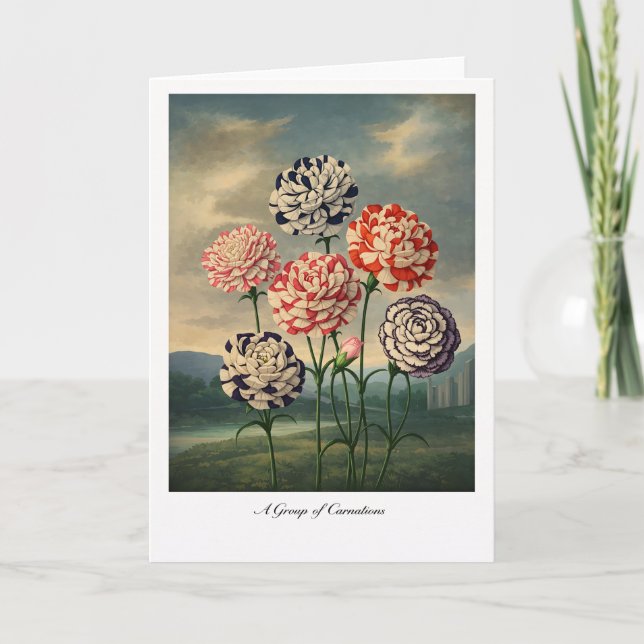 Carte A Group of Carnations — Modern Botanical Reinterpr (Devant)