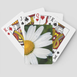 carte à jouer photo, une margueritte, font vert playing cards