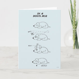 Carte À l'âge d'un chien