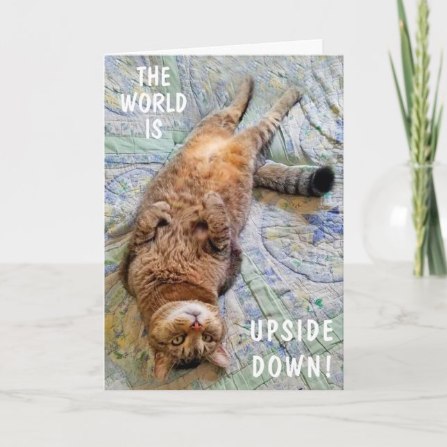 Carte À L'Hauteur Du Chat Vous Manque (Devant)