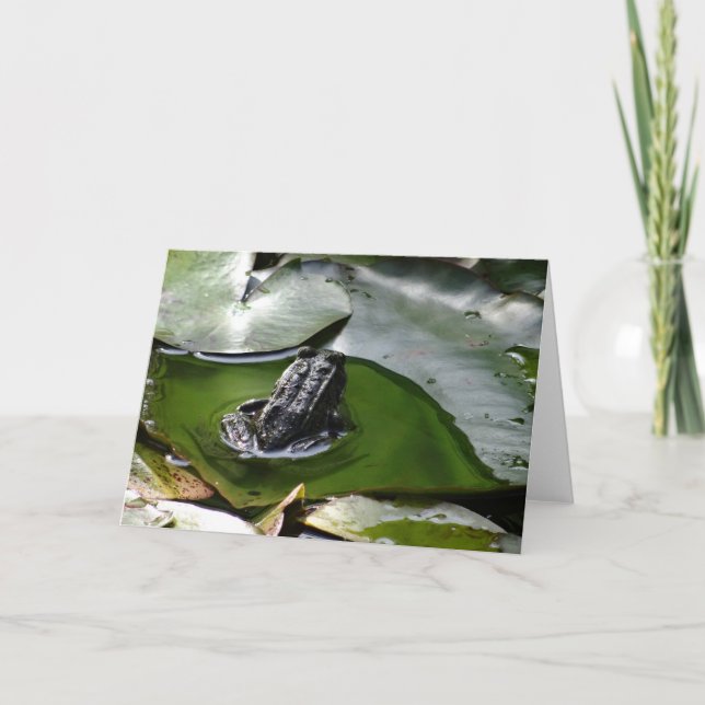 Carte a Little Green Frog (Devant)
