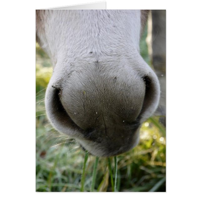 Carte à nez flou (Devant)